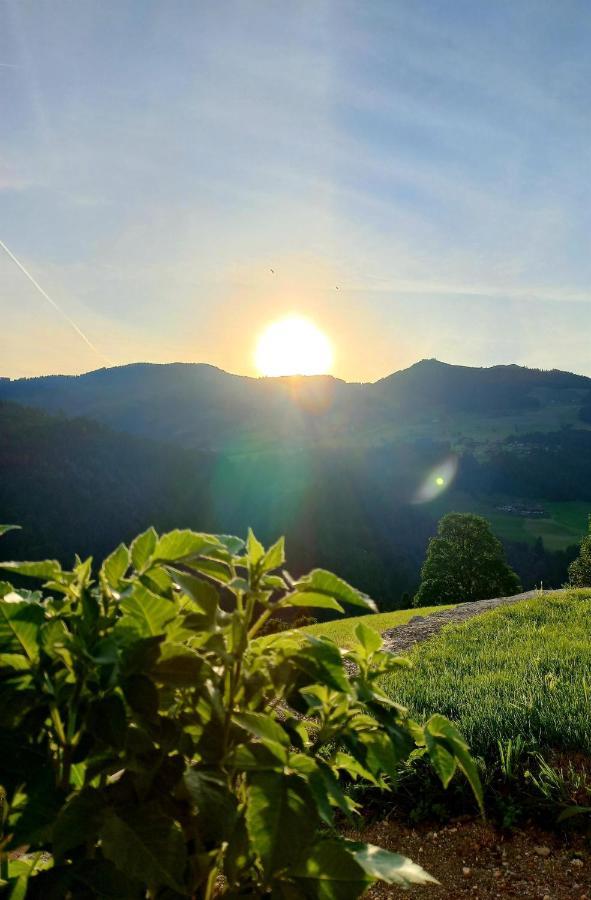 Bergappartement Kink Hopfgarten im Brixental Exterior foto